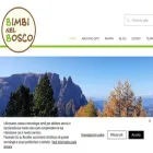 bimbinelbosco.com