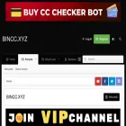 bincc.xyz