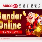 bingo4donline.icu