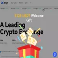 bingx.com