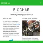 biochar.info