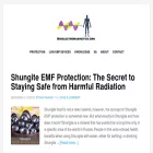 bioelectromagnetics.org