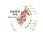 bioinformatics.cau.edu.cn