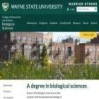 bio.wayne.edu
