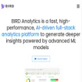 birdanalytics.ai