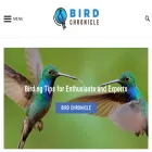 birdchronicle.com