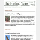 birdingwire.com
