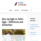 birdsphere.com