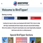 birdtipper.com