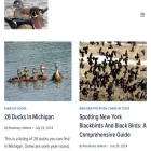 birdwatchingcentral.com