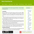 birdwatchingvietnam.net