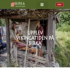 birkavikingastaden.se