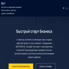 biz7.info