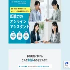 bizhits-assistant.com