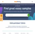 blablawriting.net