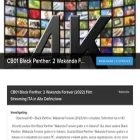 black-panther-2-altadefinizione-cb01.statuspage.io