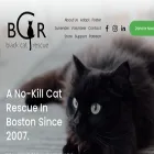 blackcatrescue.com