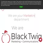 blacktwigllc.com