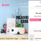 blassstick.com
