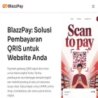 blazzpay.com