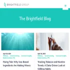 blog.brightfieldgroup.com