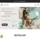 blog.cleanprogram.com