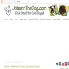 blog.johannthedog.com