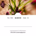 blomster.be