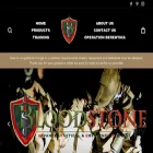 bloodstonedivision.com