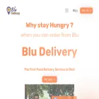 bludelivery.et