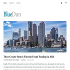 blue-dun.com