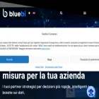 bluebi.com