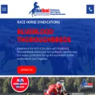 bluebloodthoroughbreds.com.au