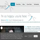 bluedragonflystrategies.ca