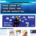 bluefish-emarketing.com