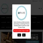 blueriverfirearms.com