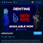 blumint.com