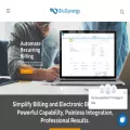 blusynergy.com