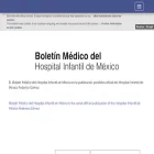 bmhim.com