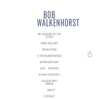 bobwalkenhorst.com