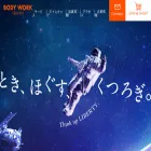 bodyworkservice.com