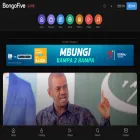 bongofive.com