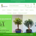 bonsaiise.com.br