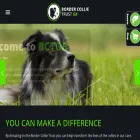 bordercollietrustgb.org.uk