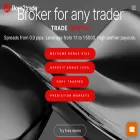 born2trade.com