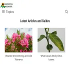 bountifulgardener.com