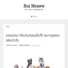 boxmeaww.com