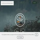 brainforest.fr