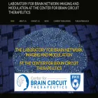 brainnetworkstim.com
