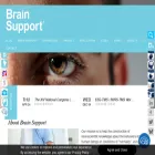 brainsupport.com.br